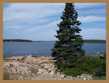 Maine shoreline