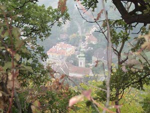 Looking through the trees on Leopoldberg one sees the roofs of the buildings in the village of Kahlenberg