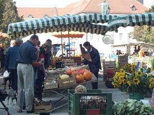 Under green and white striped umbrellas over the market stalls can be seen sunflowers, pumpkins, squash, and eager shoppers