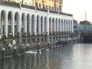 A crowd of swans swims in the water of the Alster below a white columned arcade and shopping gallery