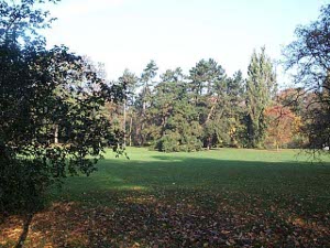 The park lawn is green with a heavy covering of autumn leaves near the surrounding trees