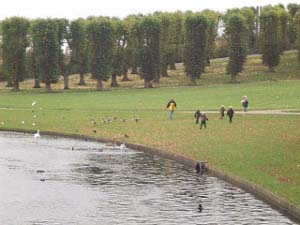 A large lake in the foreground, surrounded by paths and green lawn, with geese and other birds and young boys running around