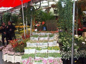 Flowers are arranged in white plastic bags and boxes, stacked on a multi-level patform, the whole thing under a red awning supported by aluminum poles