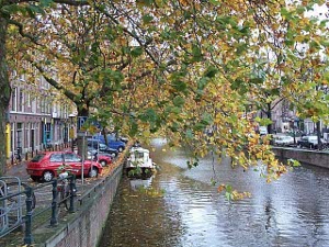 Leaves from overhanging trees are sprinkled over the water of the canal, with cars parked alongside