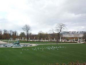 A large green lawn in the Tuileries Garden, dotted with white birds and trees bare of leaves