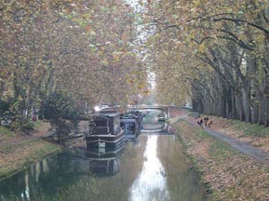The canal scene is most attractive, with canal boats tied up and tow paths on both sides, all overhung with beautifully arching trees.