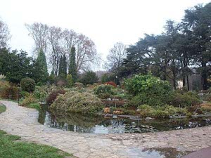 Although extra water has temporarily flooded an area next to the walk, the garden is a mass of beautiful plants and shrubs, with trees in the background