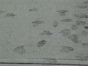 The cement sidewalk has been decorated by impressed patterns of leaves