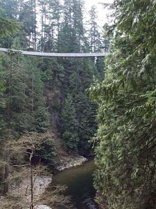 The photo depicts the bridge from a distance, high above the river bed in the gorge