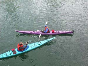 One kayaker is in a blue kayak, the other in a purple one, both ready to go off for a water exploration