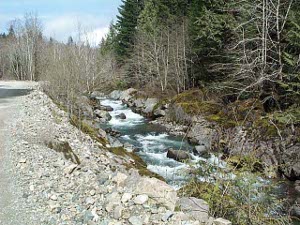 The stream is greenish blue, and filled with rocks and rapids as it tumbles down towards the ocean.