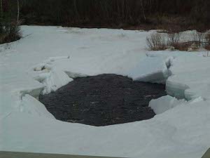 A large hole has formed in the thick ice and snow covering a river