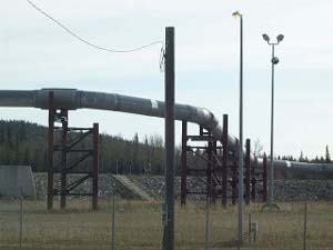 The pipeline at this point is about 15 feet above ground to keep it away from the tundra and permafrost.  It is supported every 20 feet or so by strong towers, and it curves back and forth