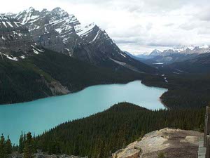 Looking down from a high mountain road, the waters of Bow Lake appear cobalt blue, surrounded by pine forest and steep mountain slopes