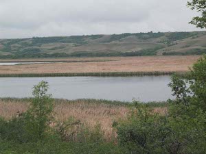 An attractive wetland recreation area, surrounded by low hills