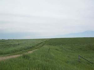 A dirt road leads across the endless green prairie