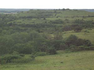 The view shows sloping low hills covered with grasses shrubs and short trees