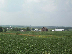 Rolling green fields of cropland, dotted with houses and trees and farm buildings, stretching as far as the eye can see