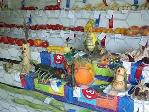 On white shelves are arranged potatoes and zucchinis and gourds in a colorful display