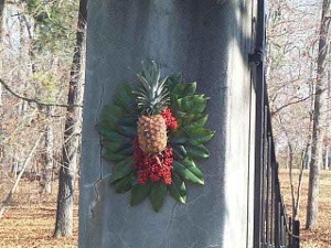 Against a background of broad green laurel leaves and bright red pyrecantha berries, an orange and green pineapple brings prosperity for the New Year