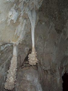Two stalactites in white limestone with a tan ending, looking like lion's tails
