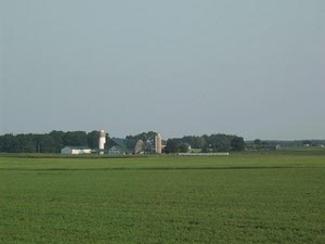 In the distance are two barns and two silos; while in the foreground is a large field planted with crops.  A copse of trees is situated behind the barns.