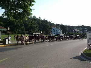 A rank of horse drawn taxicabs is lined off to give visitors a tour of the Island