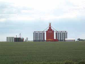 Across a wide field of grain rise an impressive array of buildings: a red grain processor with six steel grain storage units, and to the left another eight silos