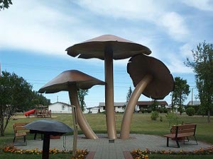 In a small park stand three huge light brown mushroom statues, perhaps providing shade for those sitting around on park benches.