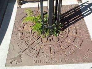 As decoration around a young city tree, Miles City has placed a bronze plaque illustrating the brands of some of the local cattle ranches.  Each such tree had a similar plaque with different brands.