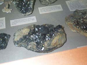 A sample of brownish rock with black crystals in a museum display case