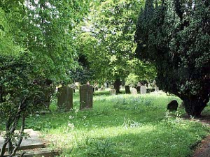Many trees grow in the churchyard, and the grass hasn't been cut recently, forming a picturesque setting for the old gravestones
