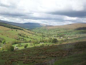 The lower valleys are pastureland, but the hilltops are barren moorland.  This area is divided into small pastures by fences and walls and hedgerows
