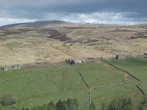 Looking down from the high vantage of the train tracks, one sees cleared land with stone walls separating sheep pastures, and small stone houses used by shepherds.  In the distance is the barren tan and brown land of the moors.