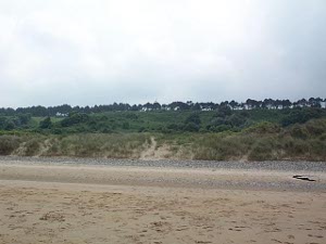 A broad sand beach leads to sand dunes slowly climbing to a ridge over 100 feet high