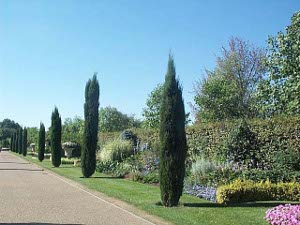 Along the walkway, Italian cypresses stand at attention, in front of beds of flowers and shrubs