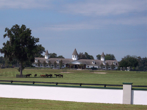 The huge white stables with towers dominate the large farm, where a half dozen thoroughbreds stand in the shade of a large tree