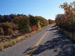 On either side of the narrow two-lane blacktop highway, the trees showed yellow, red, orange, brown, green and gold, against a blue sky