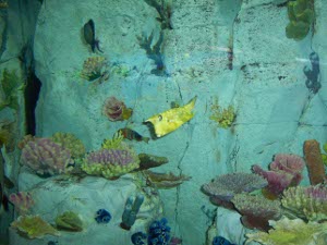 Against a pale blue background, brightly colored reef fish and corals make a dazzling display