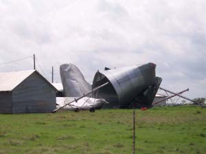 several steel grain storage buildings lie twisted and deformed, the result of a tornado which passed through this area.  Yet an adjacent barn stands without damage.