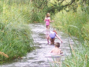 Three children, in bright bathing suits, wade in the water, surrounded by reeds, at the Source of the Mississippi