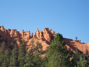 behind the evergreens are fantastic red stone formations against an azure sky
