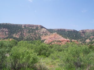 Lush green chaparral fills the foreground of this scene of the reddish rock and high cliffs of Palo Duro Canyon, Texas