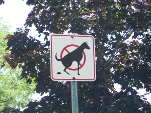 An explicit graphic street sign prohibits dog poop.