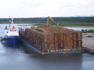 A lumber barge is tied up at the dock in Happey Valley, its tug moored alongside while the yellow log picker stacks the logs like toothpicks into a pile over twenty feet high with thousands of logs, nearly sinking the barge into the water.