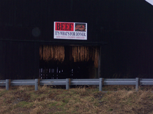 Golden brown tobacco hangs from the rafters of a black barn near the road.
Above the barn door is a sign pushing beef consumption.