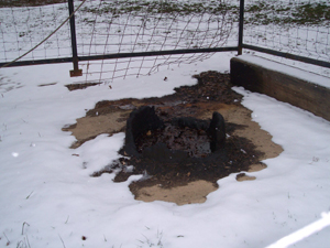The snowy ground around the oil well head is stained with a black sludge.
