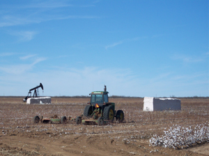 A green John Deere machine sits idly against the red earth and white balls
and bales of cotton; in the distance is an oil well.  The horizon is flat and the
sky pale blue.