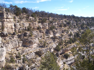 The rough texture and thick vegetation of the canyon landscape obscure 
the hundreds of ancient cave dwellings built into the walls