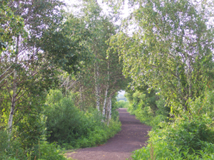 Entrance to Meadowlands walk